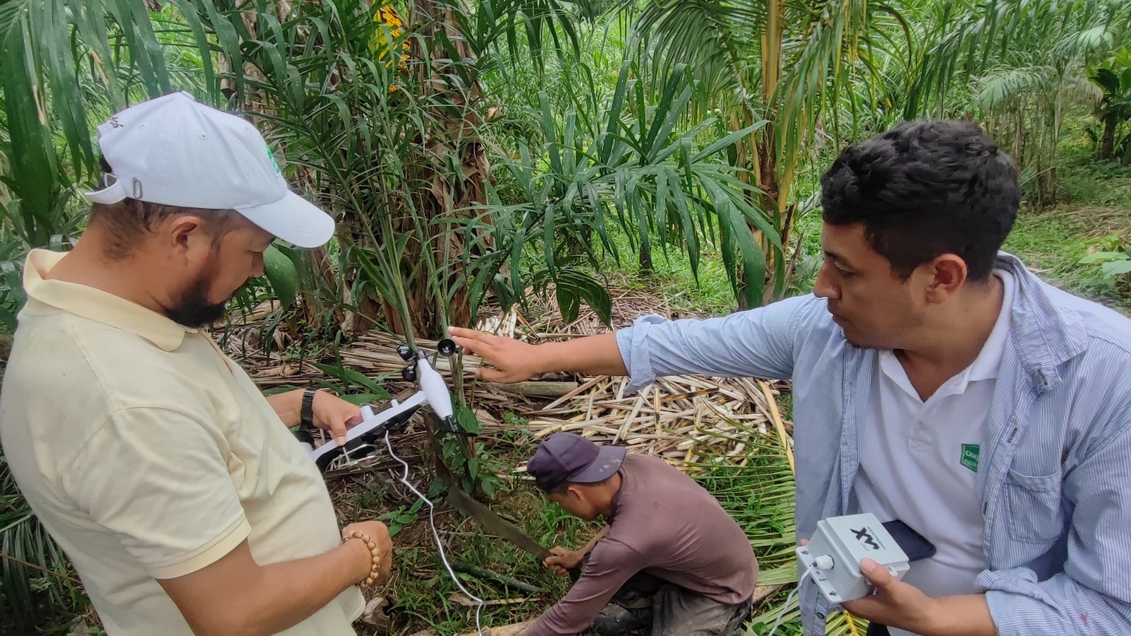 Field operators deploying a WeatherXM station across agricultural land in Latin America